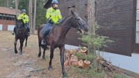 POLICIE koně doksy1